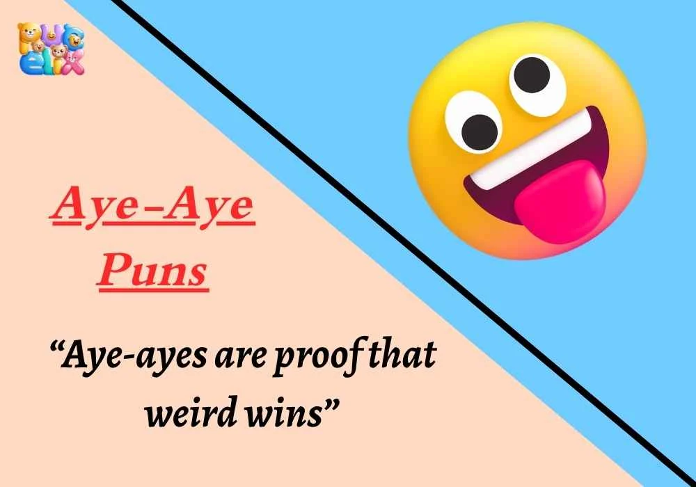 Aye-Aye Puns