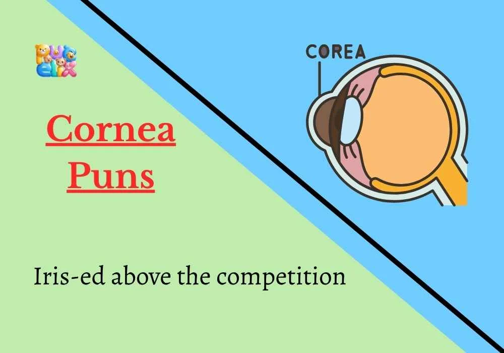 Cornea Puns