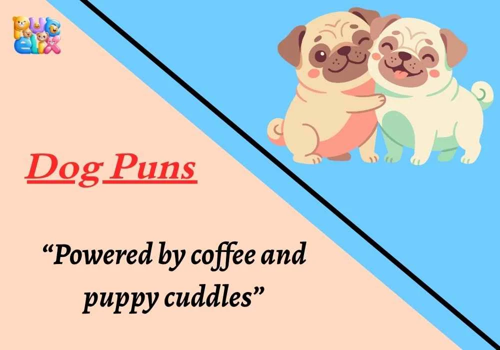 Dog Puns