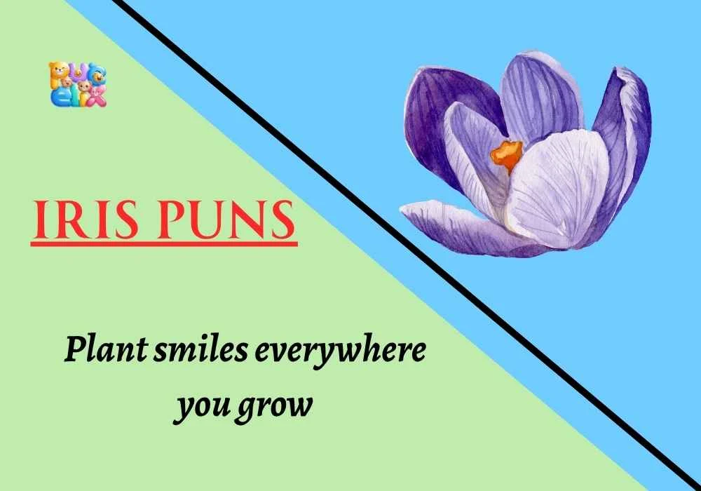 Iris Puns