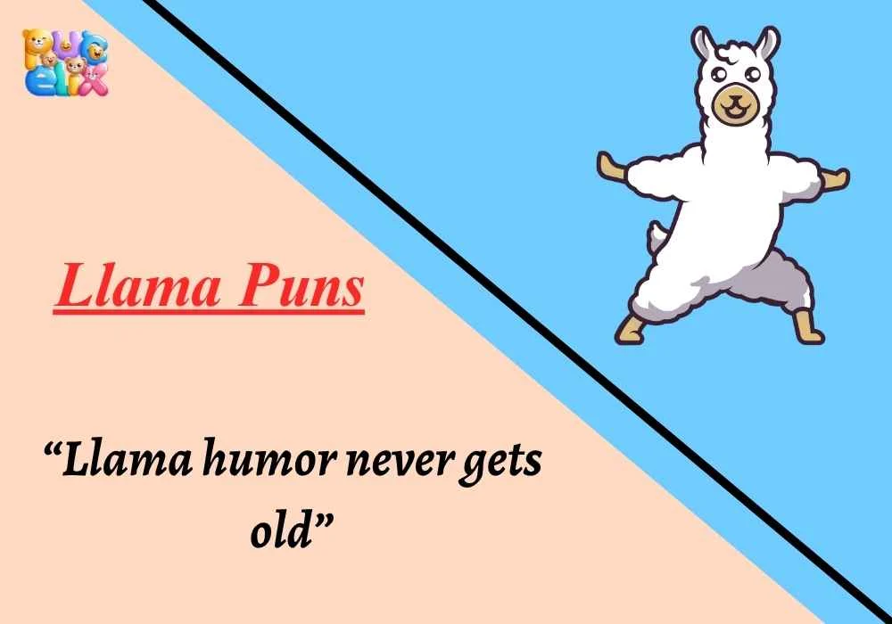 Llama Puns