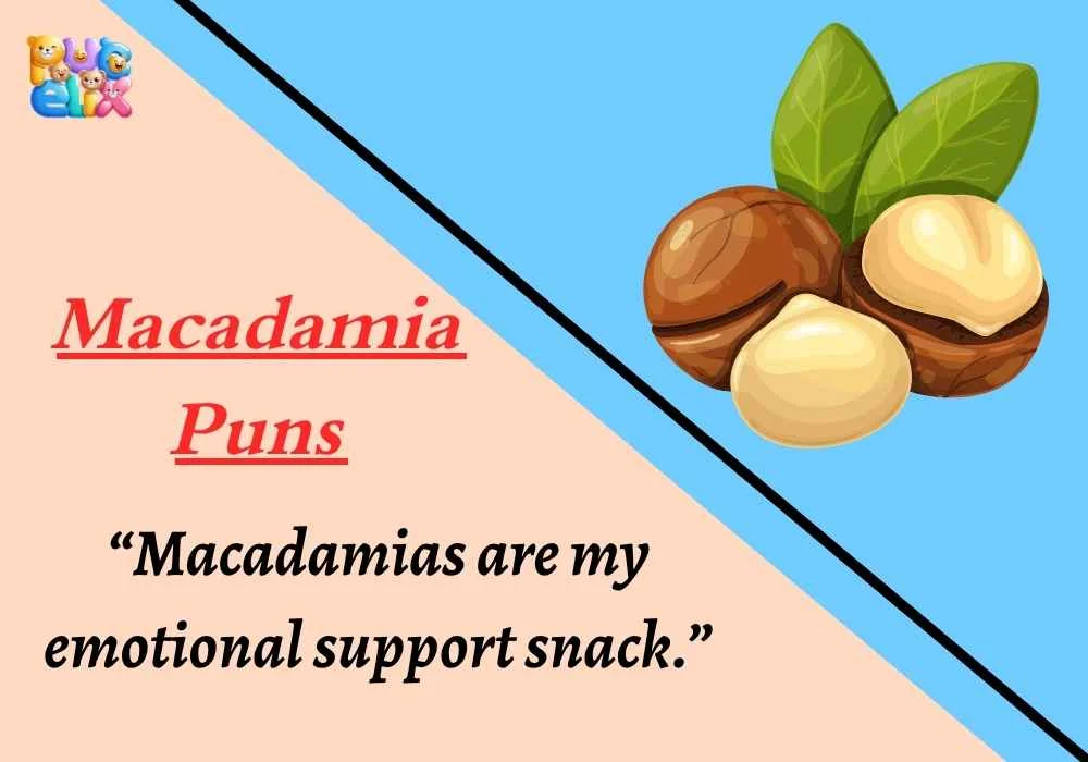 Macadamia Puns