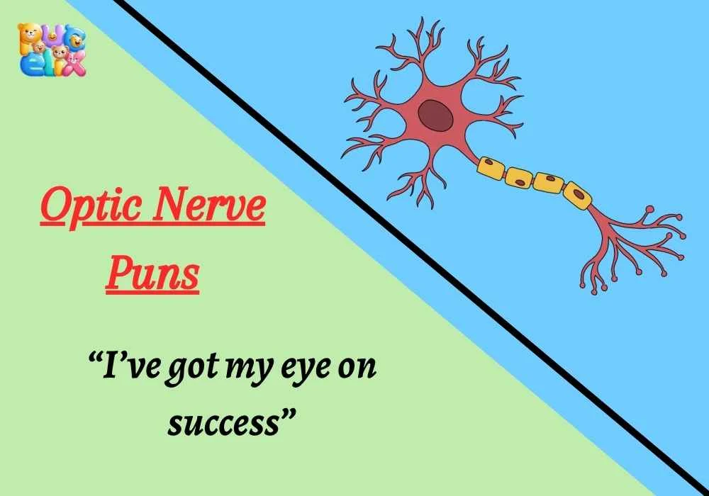 Optic Nerve Puns