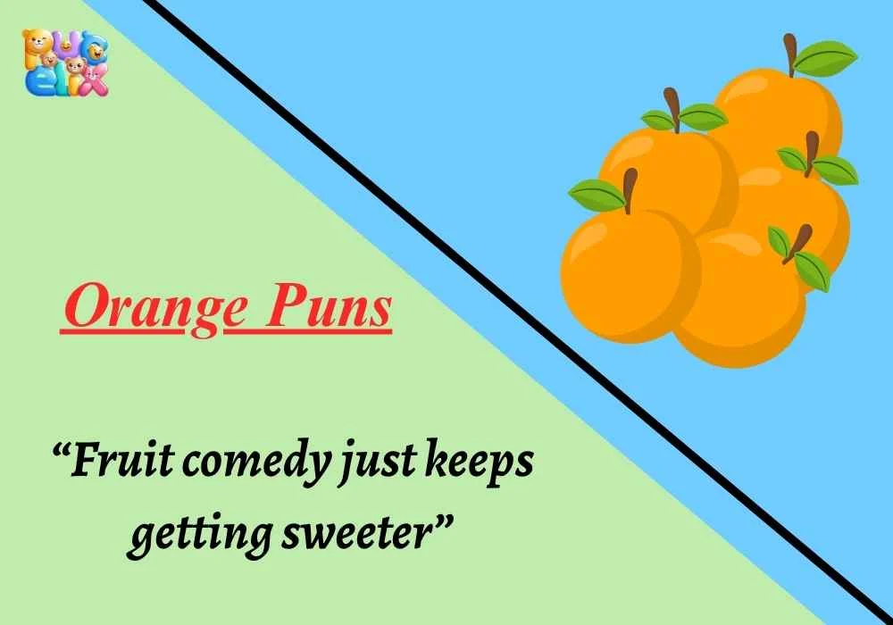 Orange Puns Fruit 2