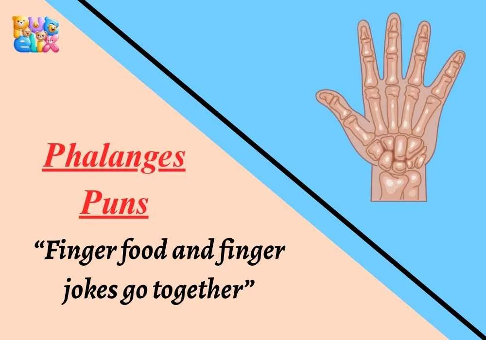 Phalanges Puns
