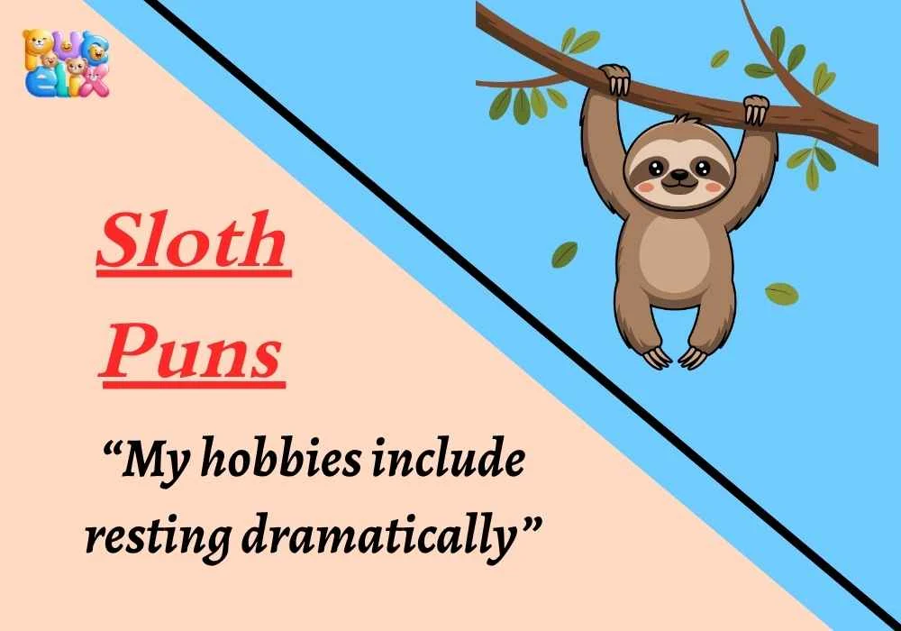 Sloth Puns