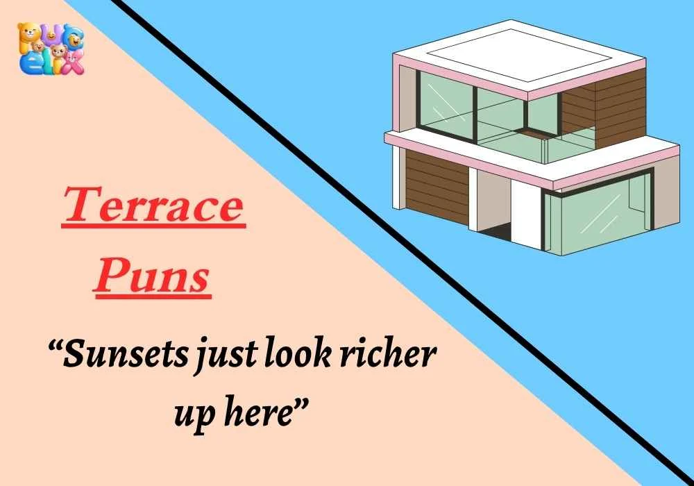 Terrace Puns