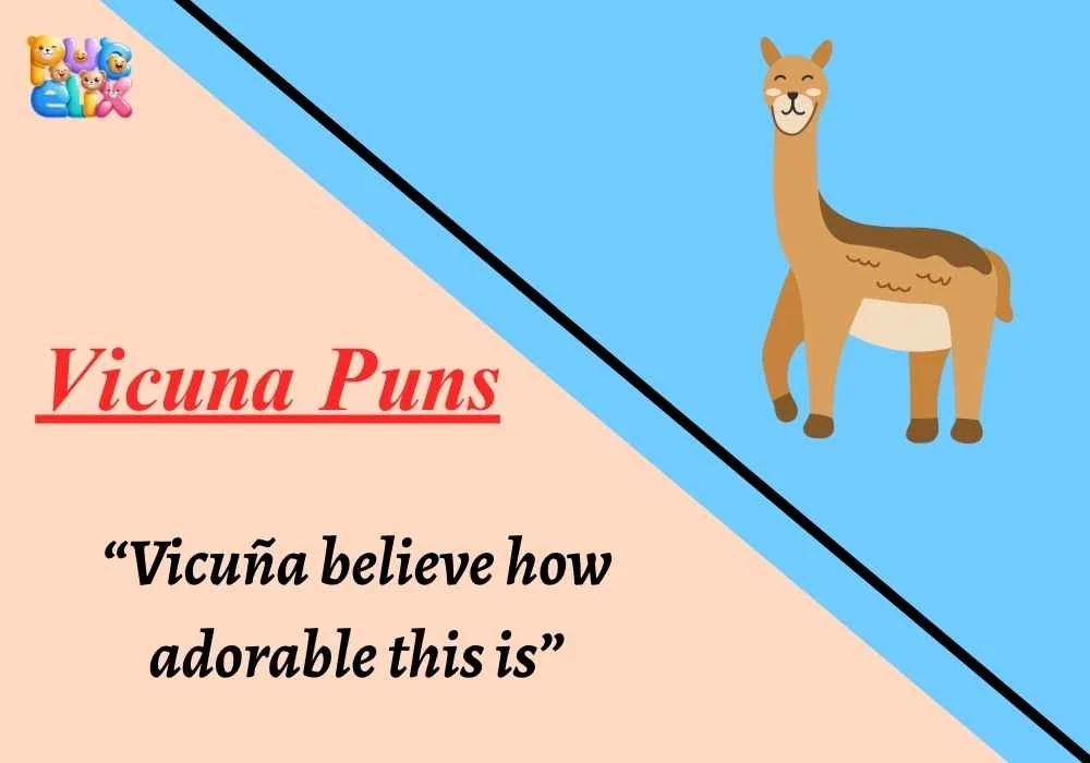 Vicuna Puns