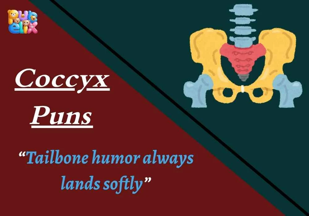 Coccyx Puns