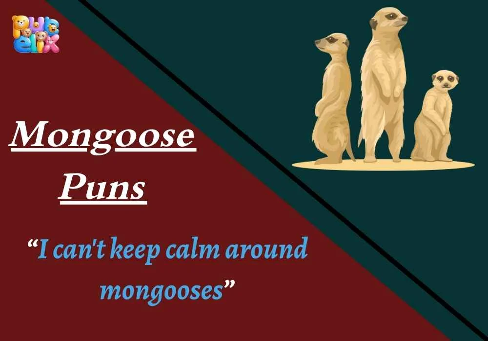 Mongoose Puns